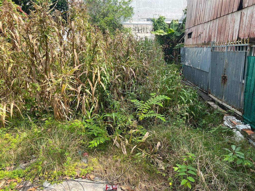 141/2 nguyễn thái học, long xuyên, an giang 8,67 x 18,91 đường oto 3m