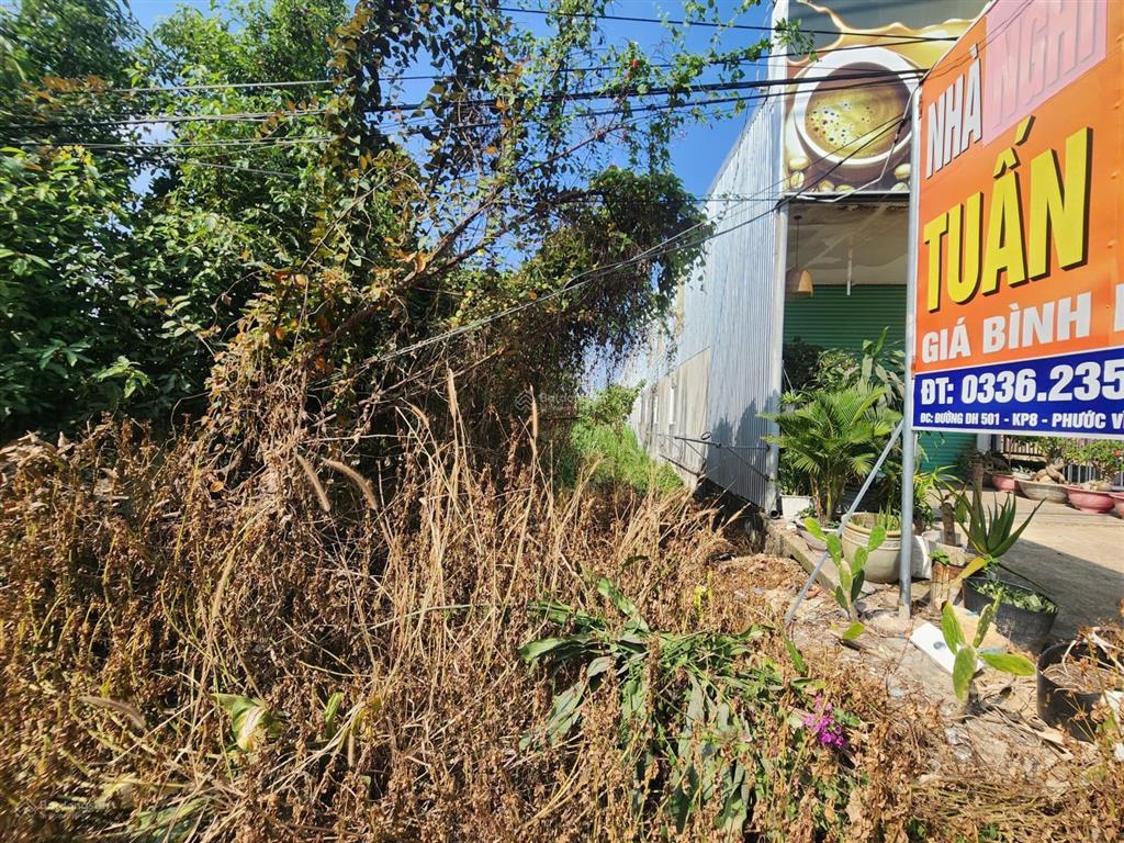 12,3x89m mặt tiền dh501 phước vĩnh, phú giáo, bình dương 1116m2