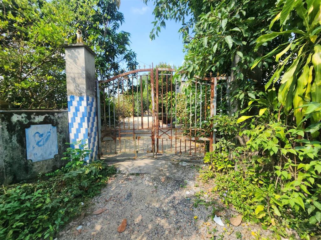 12,3x89m mặt tiền dh501 phước vĩnh, phú giáo, bình dương 1116m2