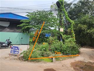Lô góc 346,7 m² mặt tiền 7m đường đx14, phường tân vĩnh hiệp, tp tân uyên, bình dương
