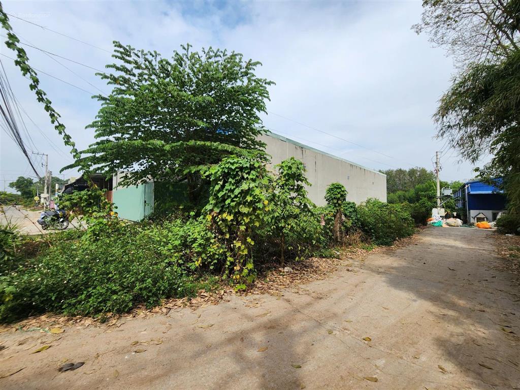 Lô góc 346,7 m² mặt tiền 7m đường đx 014, phường tân vĩnh hiệp, tp tân uyên, bình dương