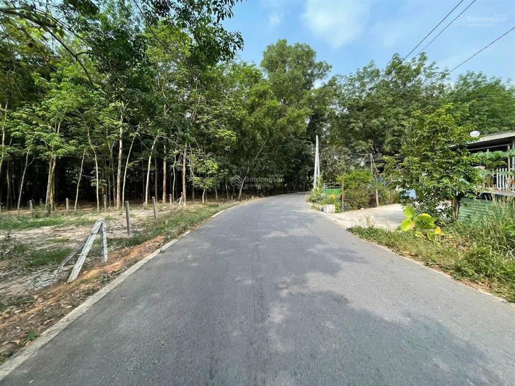 738m2 = 2 tỷ 382 đất mặt tiền 10m nhánh đt748 an điền, bến cát, bình dương