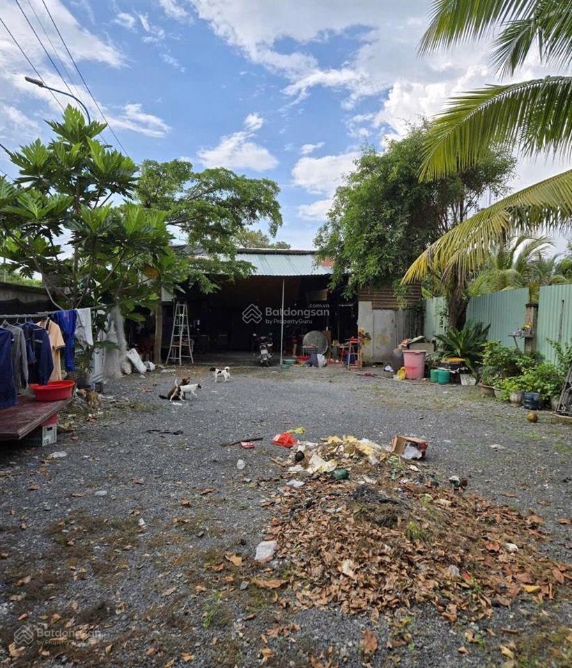 400m2 đất mt đường nhị bình 2. ngang 36m dài 13m. đất trồng cây. giá 5,3tỷ tl