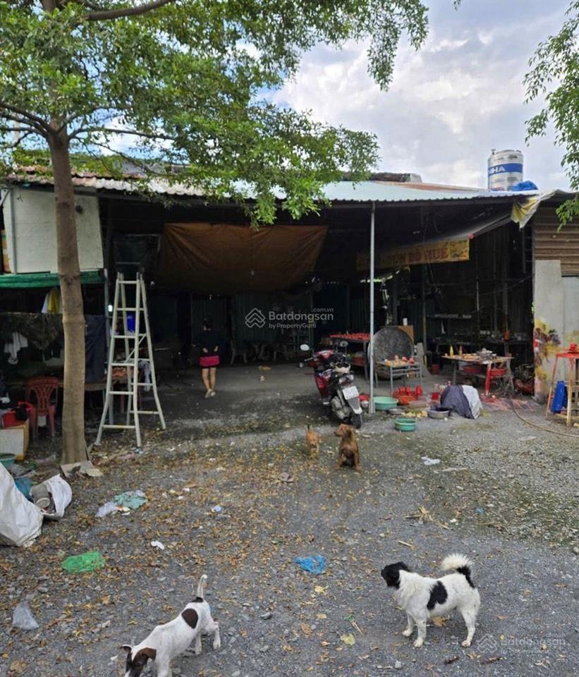 400m2 đất mt đường nhị bình 2. ngang 36m dài 13m. đất trồng cây. giá 5,3tỷ tl