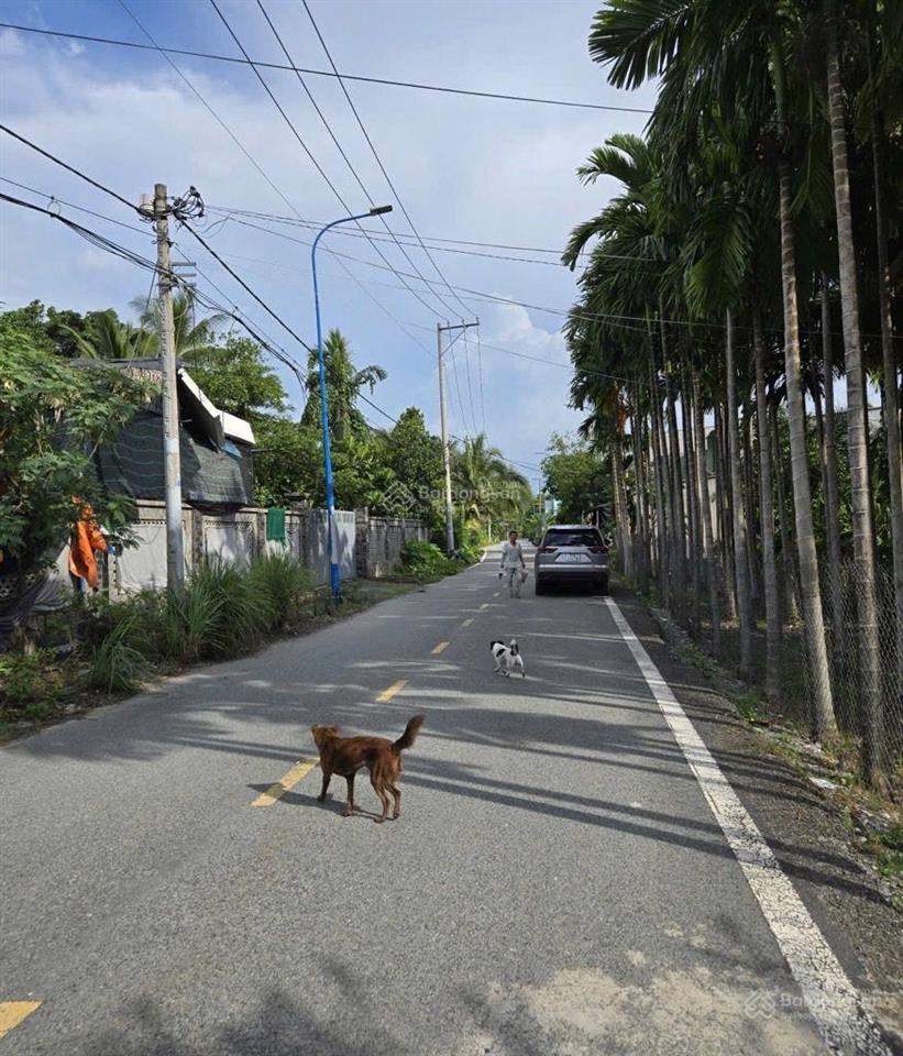 400m2 đất mt đường nhị bình 2. ngang 36m dài 13m. đất trồng cây. giá 5,3tỷ tl