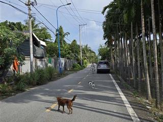 400m2 đất mt đường nhị bình 2. ngang 36m dài 13m. đất trồng cây. giá 5,3tỷ tl