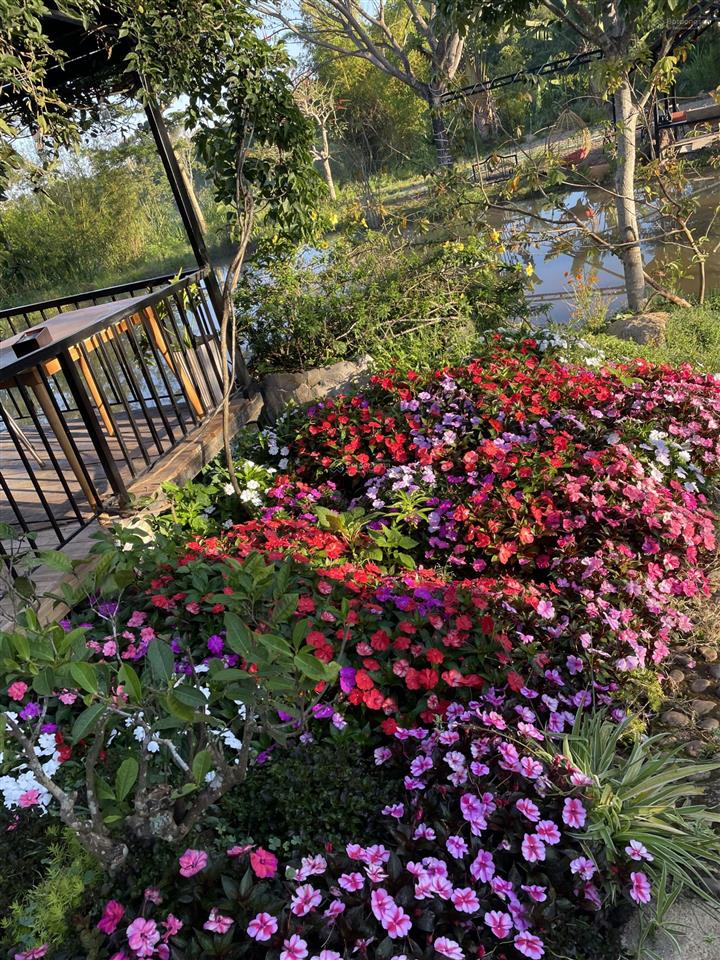 Nhà c4 cũ . 5*20 vuông vức cn đủ. 1/ ngắn trương thị hoa, tân thới hiệp. hẻm 6m giá 6,25tỷ bớt lộc