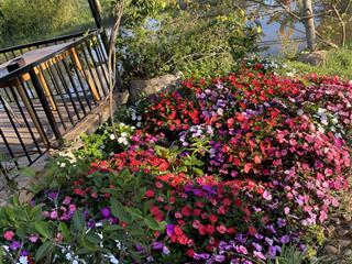 Nhà c4 cũ . 5*20 vuông vức cn đủ. 1/ ngắn trương thị hoa, tân thới hiệp. hẻm 6m giá 6,25tỷ bớt lộc