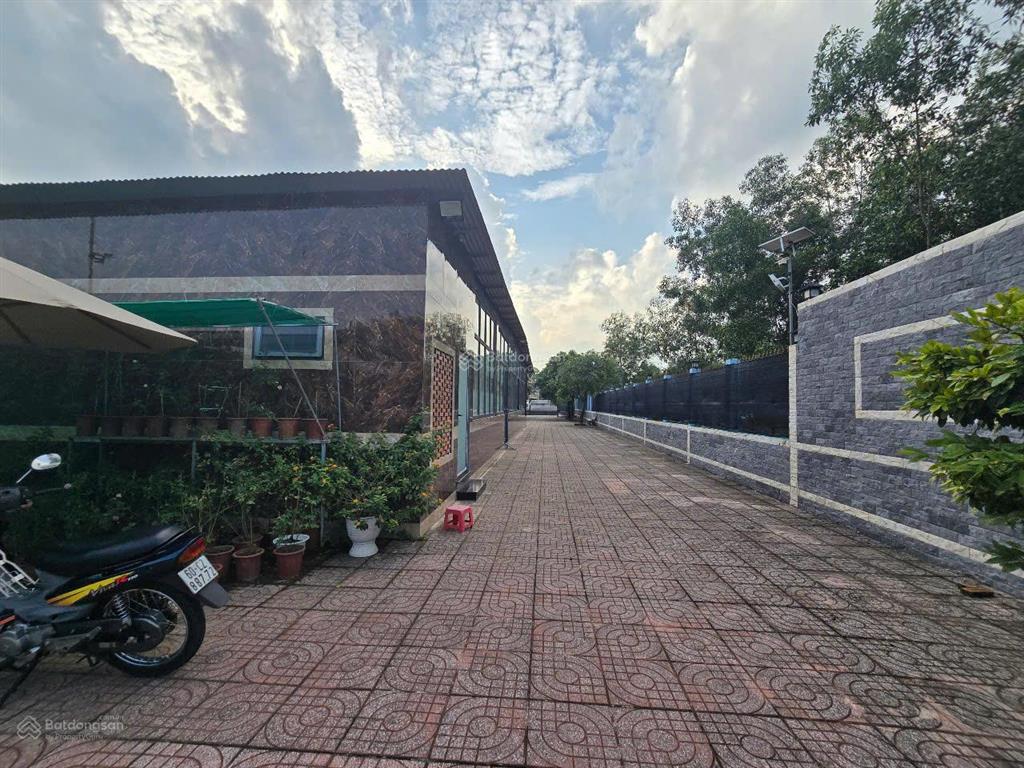 Nhà vườn 3045m2 tt nhơn trạch, đồng nai. gần các dự án lớn. mt đường cây dầu. giá 21,5 tỷ