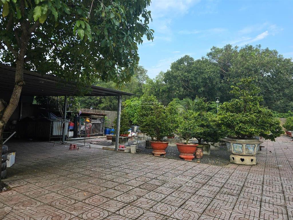 Nhà vườn 3045m2 tt nhơn trạch, đồng nai. gần các dự án lớn. mt đường cây dầu. giá 21,5 tỷ