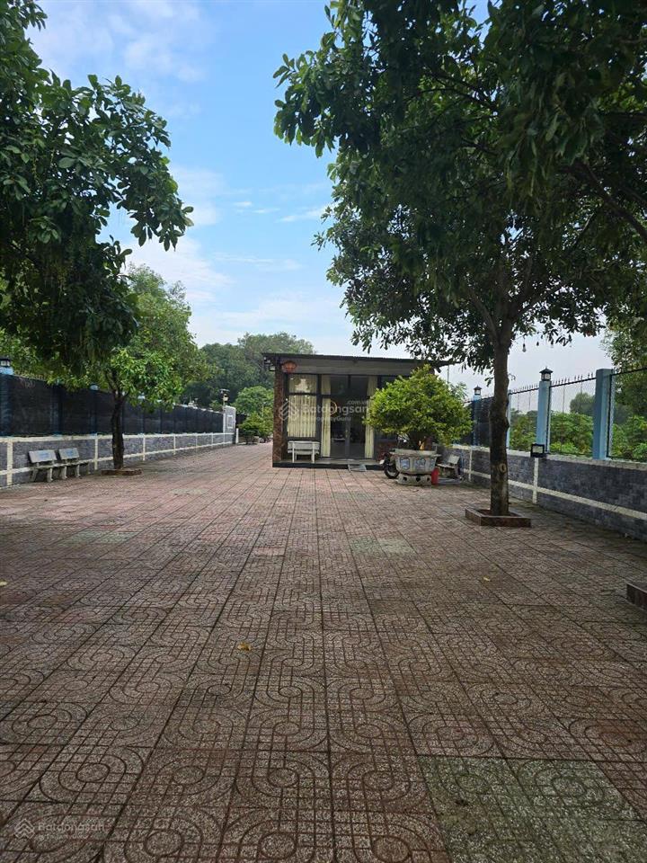 Nhà vườn 3045m2 tt nhơn trạch, đồng nai. gần các dự án lớn. mt đường cây dầu. giá 21,5 tỷ