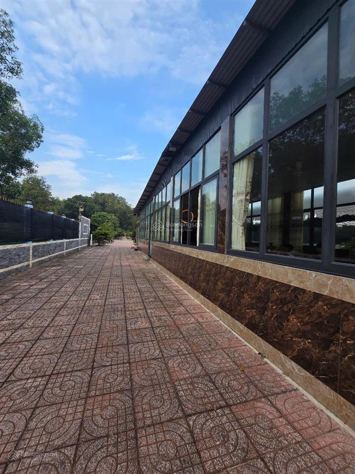 Nhà vườn 3045m2 tt nhơn trạch, đồng nai. gần các dự án lớn. mt đường cây dầu. giá 21,5 tỷ