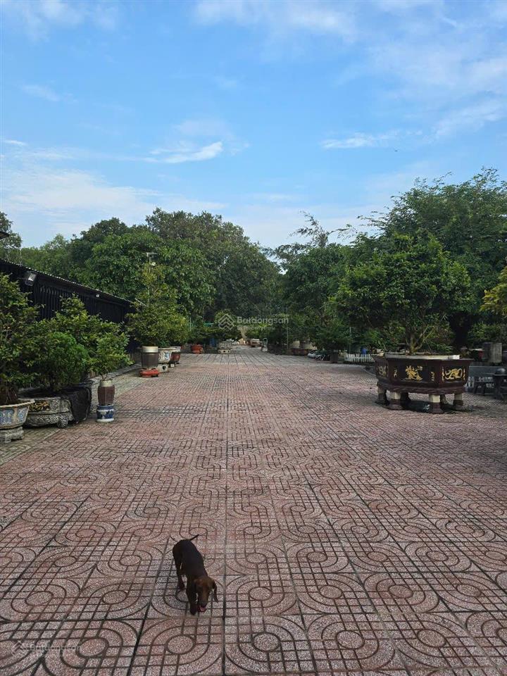 Nhà vườn 3045m2 tt nhơn trạch, đồng nai. gần các dự án lớn. mt đường cây dầu. giá 21,5 tỷ