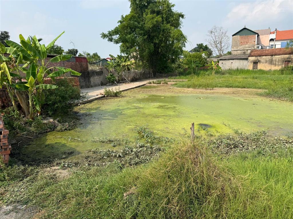 Đất việt yên  bắc ninh, sẵn sổ, phù hợp đầu tư tích sản. sát quy hoạch kcn tự lạn  trung sơn