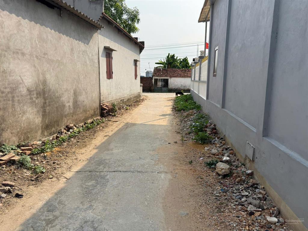 Đất việt yên  bắc ninh, sẵn sổ, phù hợp đầu tư tích sản. sát quy hoạch kcn tự lạn  trung sơn