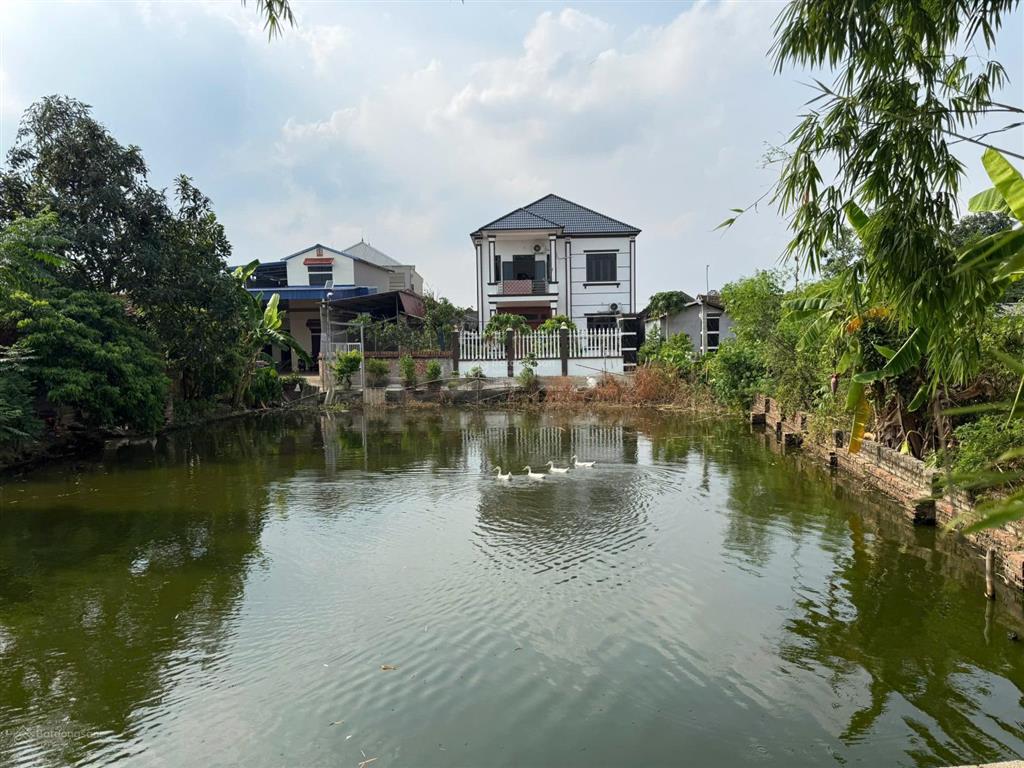 Đất việt yên  bắc ninh, sẵn sổ, phù hợp đầu tư tích sản. sát quy hoạch kcn tự lạn  trung sơn