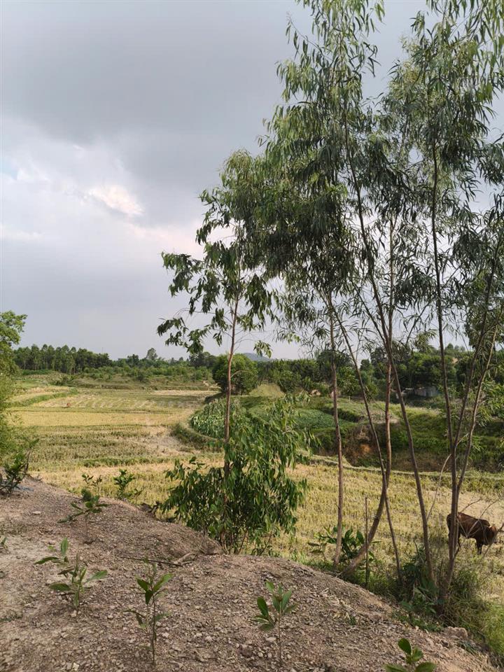 Bán đất Sóc Sơn, 100m full đất ở, 3 mặt thoáng, view cánh đồng
