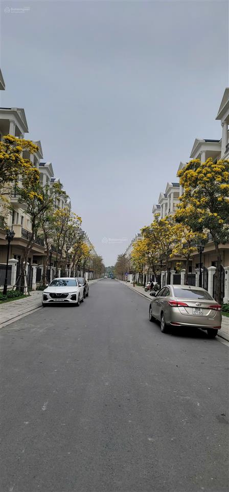 Chủ nhà bán gấp biệt thự đơn lập đảo dừa vinhomes ocean park 2  240m2 giá 38 tỷ