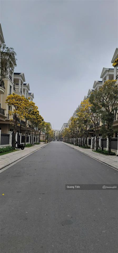 Chủ nhà bán gấp biệt thự đơn lập đảo dừa vinhomes ocean park 2  240m2 giá 3x tỷ