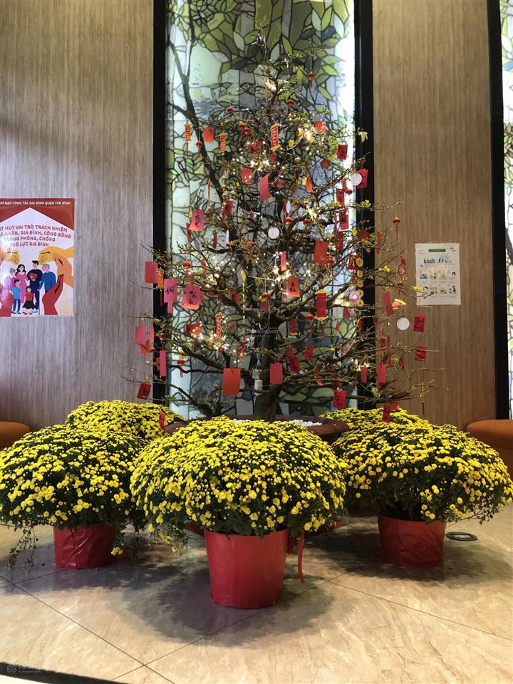 Cần bán căn hộ cao cấp botanica premier  chủ đầu tư novaland  diện tích 96m2
 thiết kế 3 phòn