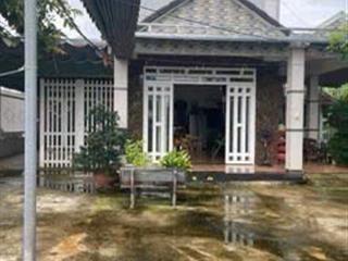 Bán nhà vườn bảo quang, long khánh 9.064m²  4pn, 2 wc, vườn mít đang thu hoạch