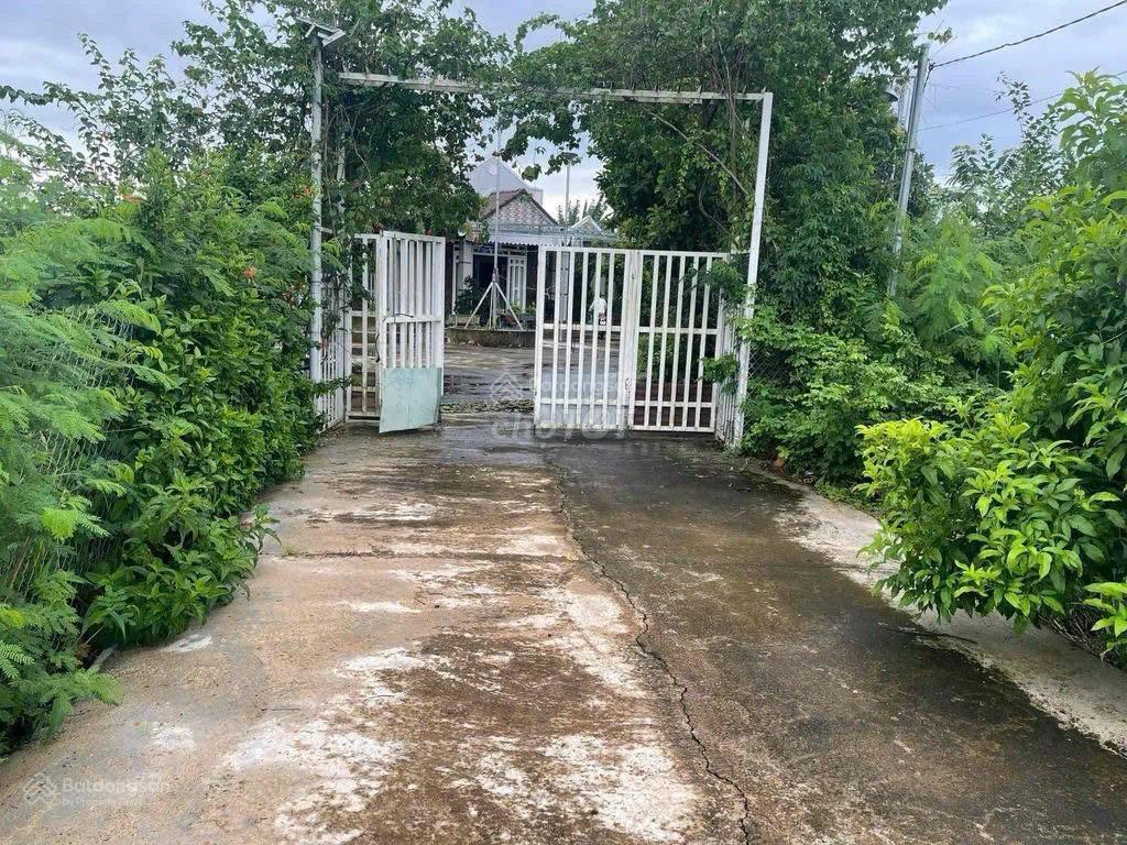 Bán nhà vườn bảo quang, long khánh 9.064m²  4pn, 2 wc, vườn mít đang thu hoạch