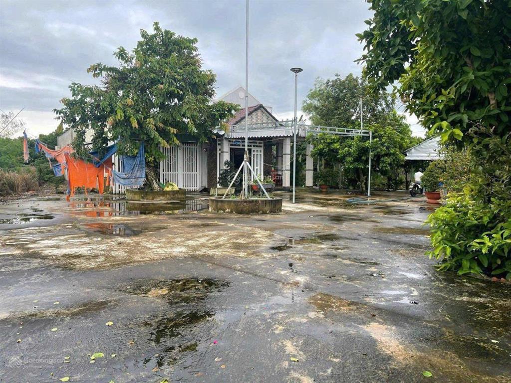 Bán nhà vườn bảo quang, long khánh 9.064m²  4pn, 2 wc, vườn mít đang thu hoạch