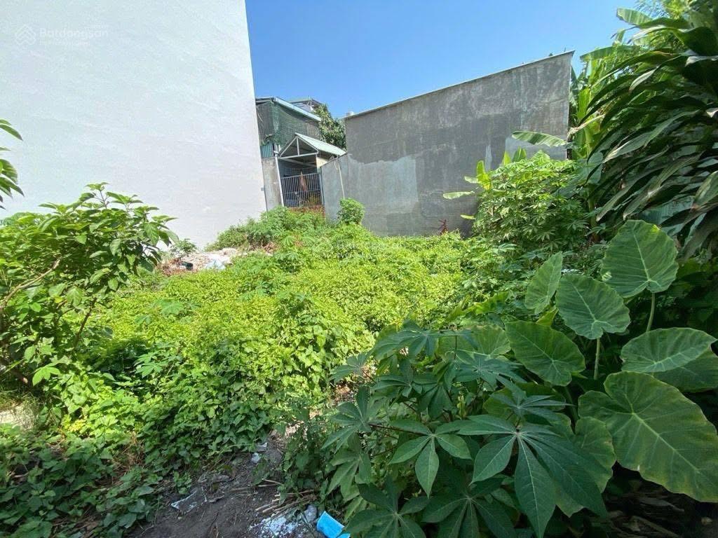 Bán đất hẻm đẹp chính chủ  huỳnh tấn phát phú thuận quận 7 4.5x12.5m dt 60m 4,3 tỷ