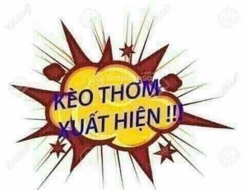 Bán shophouse tại lovera premier, giá cực chất 9,9 tỷ, 75m2, 6pn, 7wc, view đẹp