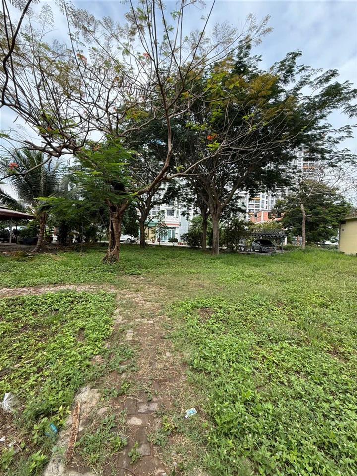 Bán đất khang điền bình chánh, 5,6 tỷ, 100m2, hàng hiếm tại trịnh quang nghị, xã phong phú