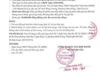 Thông báo bán đấu giá tài sản phường thống nhất, tỉnh gia lai