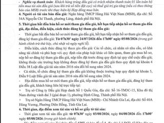 Thông báo đấu giá qsd đất tại phường an nhơn đông, tỉnh gia lai