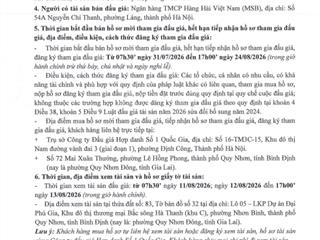 Thông báo bán đấu giá qsd đất tại phường quy nhơn đông, tỉnh gia lai