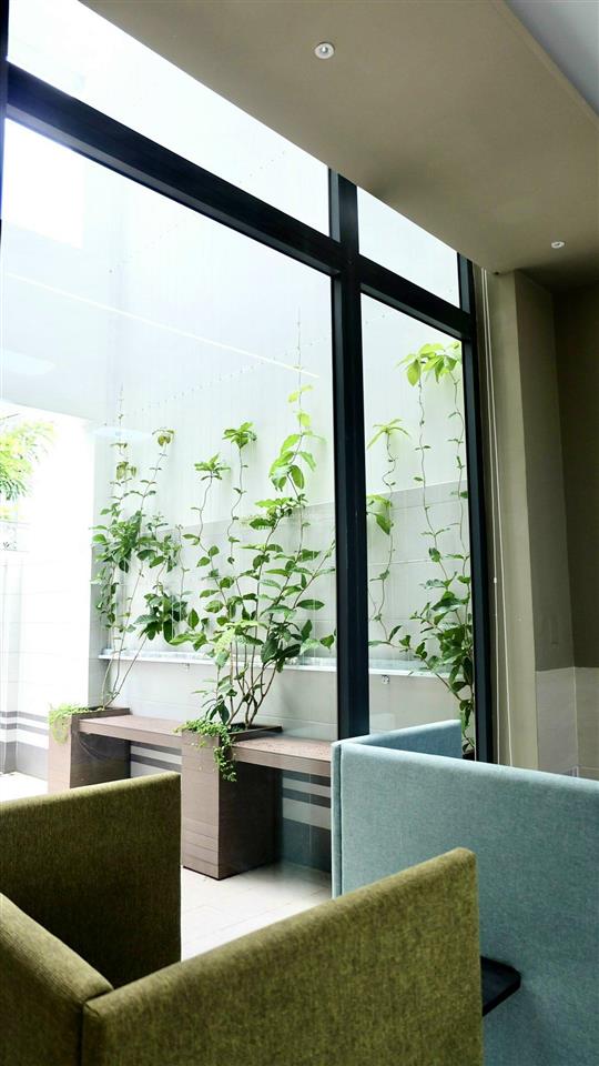 Cho thuê biệt thự full nt vp  100tr/th 10x18m 1 hầm 4 lầu  nhà sẵn trống vào liền