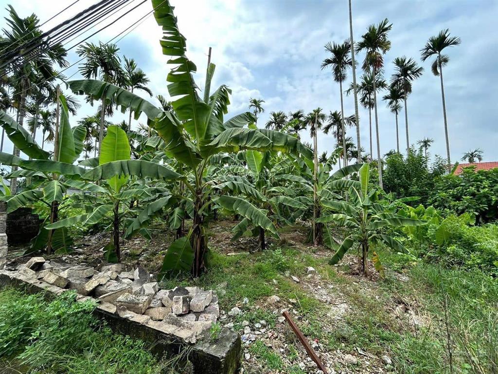 Cần bán lô đất phường lưu kiếm