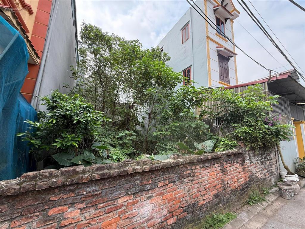Chính chủ cần bán đất tại thôn xuân thụy, xã gia lâm, hà nội, diện tích 63,3 m2 giá 5,5 tỷ