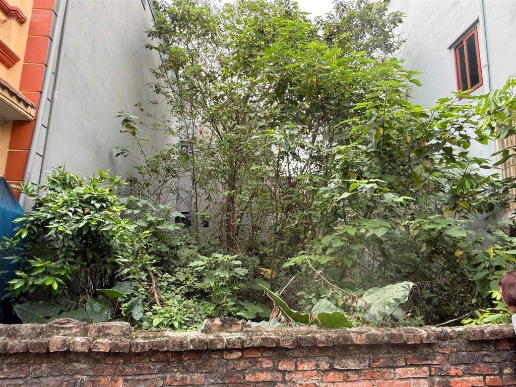 Chính chủ cần bán đất tại thôn xuân thụy, xã gia lâm, hà nội, diện tích 63,3 m2 giá 5,5 tỷ