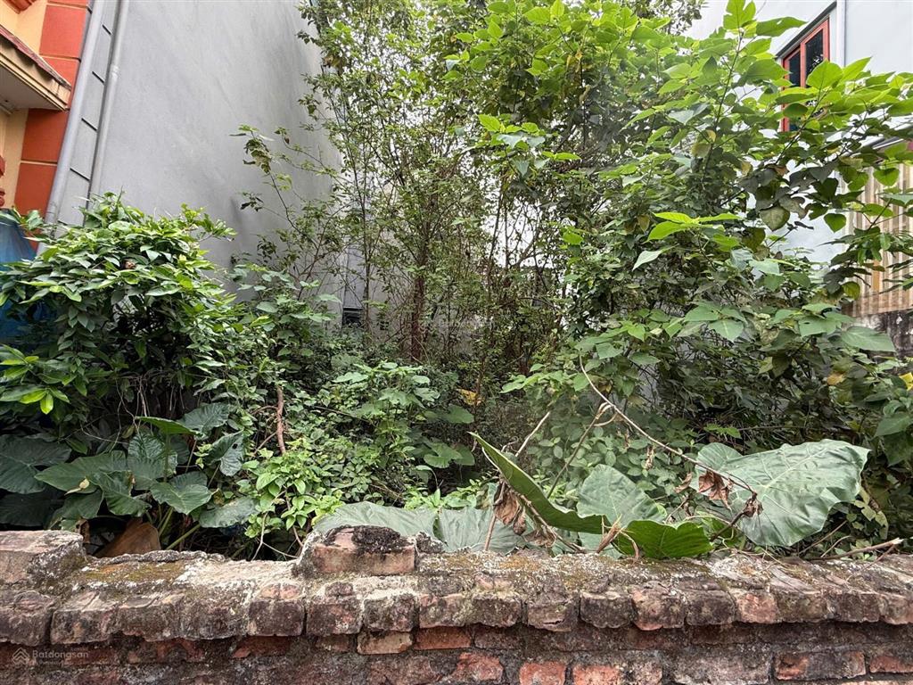 Chính chủ cần bán đất tại thôn xuân thụy, xã gia lâm, hà nội, diện tích 63,3 m2 giá 5,5 tỷ