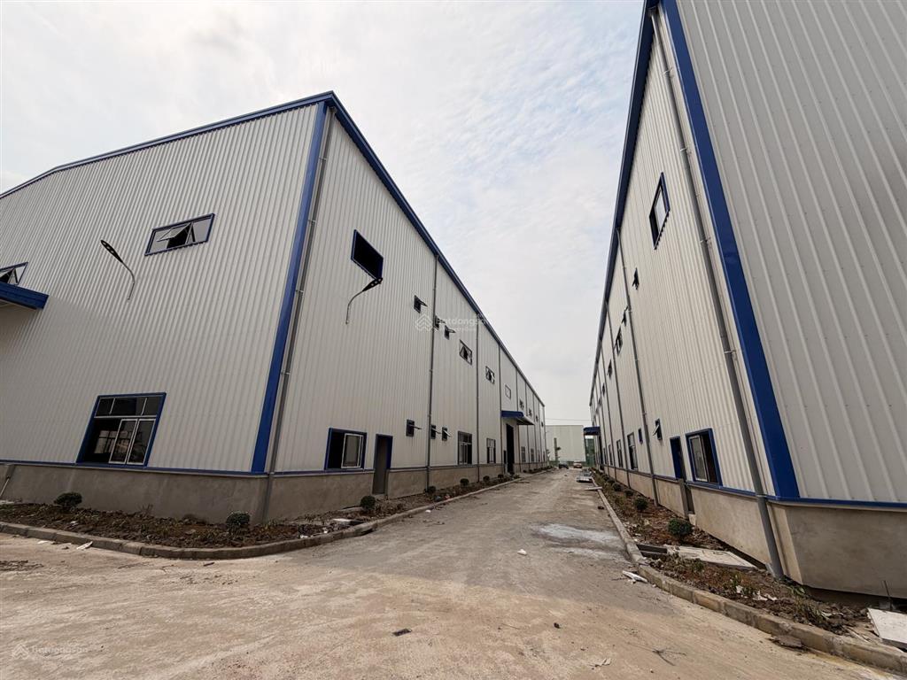 Cho thuê nhà xưởng hiện đại 16409m2  kcn thuận thành iii bắc ninh  factory units for lease