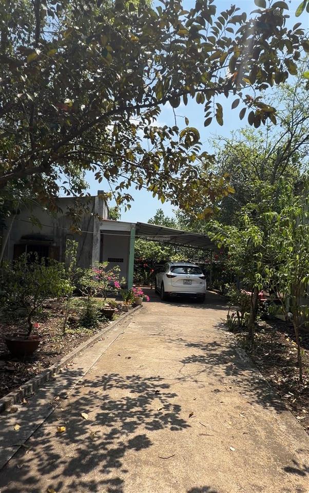 Bán đất gần sân bay long thành, cẩm đường, đồng nai  dt 2400m2  sẵn nhà  sổ hồng  4.8 tỷ