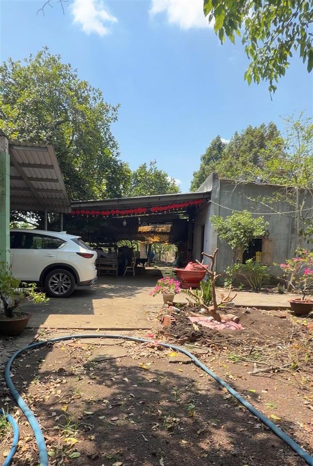 Bán đất gần sân bay long thành, cẩm đường, đồng nai  dt 2400m2  sẵn nhà  sổ hồng  4.8 tỷ