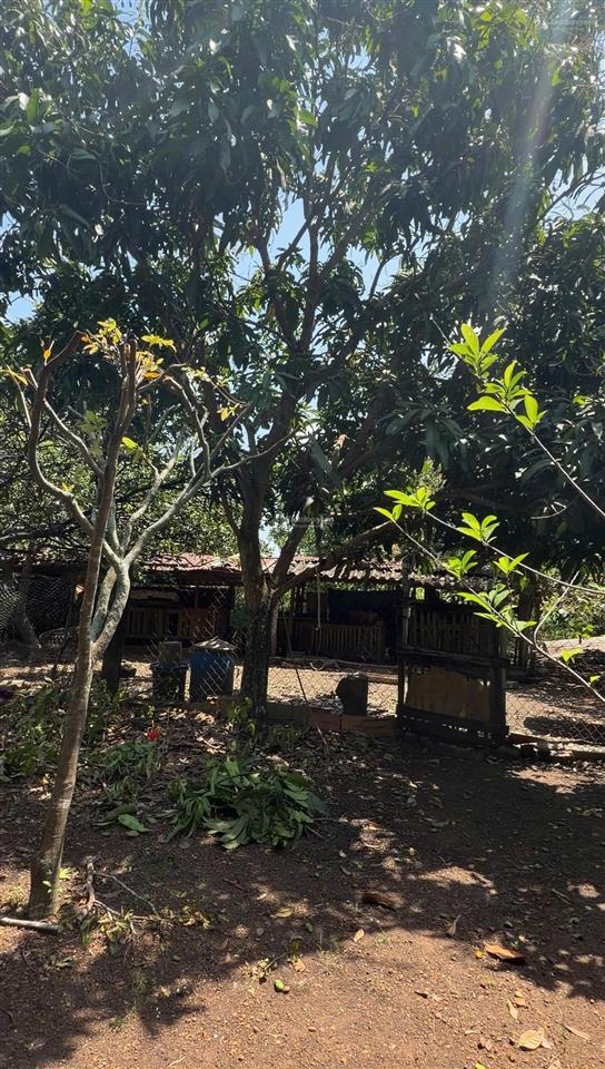 Bán đất gần sân bay long thành, cẩm đường, đồng nai  dt 2400m2  sẵn nhà  sổ hồng  4.8 tỷ