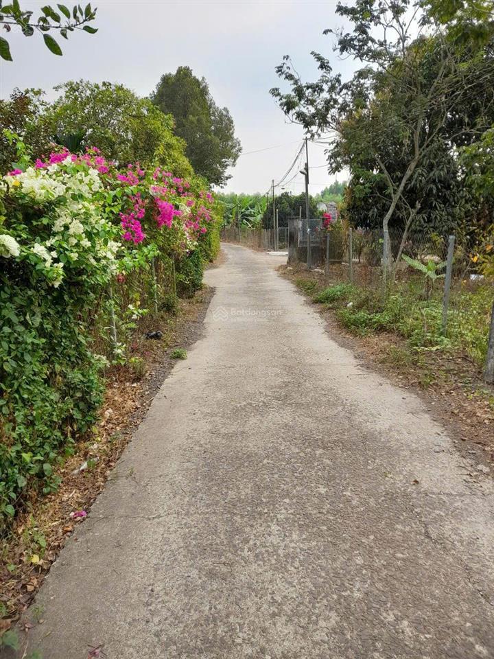 Bán đất gần sân bay long thành, cẩm đường, đồng nai  dt 2400m2  sẵn nhà  sổ hồng  4.8 tỷ