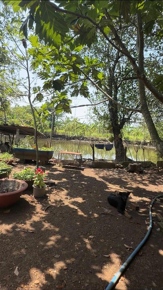 Bán đất gần sân bay long thành, cẩm đường, đồng nai  dt 2400m2  sẵn nhà  sổ hồng  4.8 tỷ