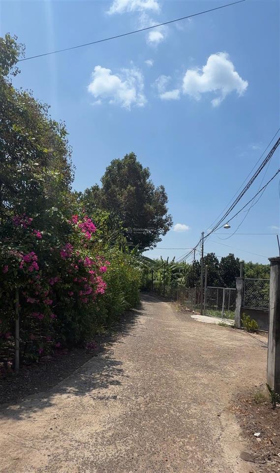 Bán đất gần sân bay long thành, cẩm đường, đồng nai  dt 2400m2  sẵn nhà  sổ hồng  4.8 tỷ