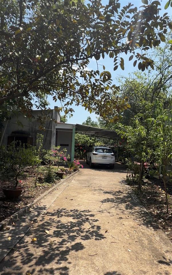 Bán đất gần sân bay long thành, cẩm đường, đồng nai  dt 2400m2  sẵn nhà  sổ hồng  4.8 tỷ