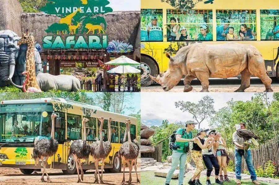 Sở hữu biệt thự mặt vịnh ngọc giá chưa từng có chỉ 24ty250