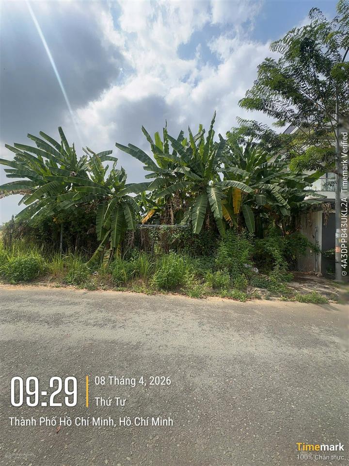 Bán biệt thự liên phường, phước long b, quận 9 giá 25,5 tỷ, 300m2, 14m mặt tiền ngay globalo city