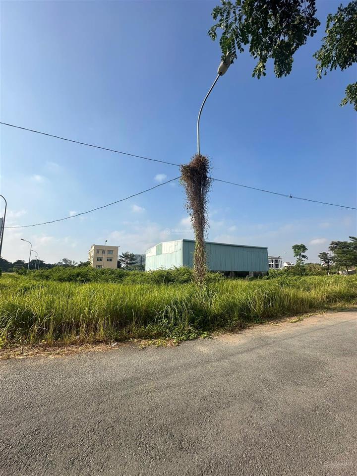 Bán đất đỗ xuân hợp, 53 tỷ vnd, 568 m2 giá hợp lý đầu tư.