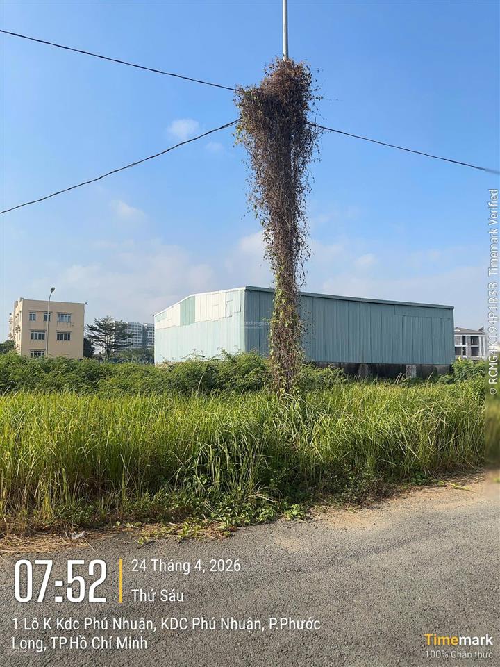 Bán đất đỗ xuân hợp, 53 tỷ vnd, 568 m2 giá hợp lý đầu tư.